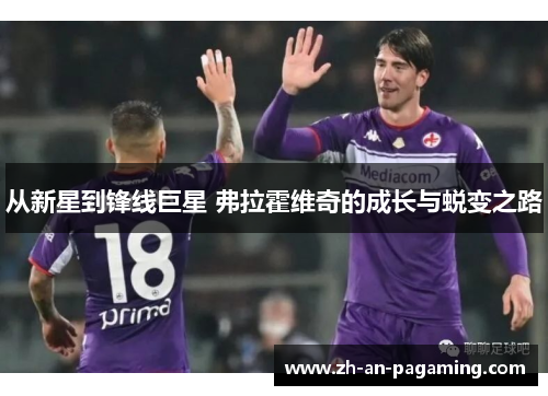 从新星到锋线巨星 弗拉霍维奇的成长与蜕变之路