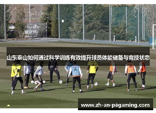 山东泰山如何通过科学训练有效提升球员体能储备与竞技状态