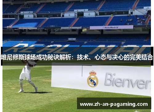 维尼修斯球场成功秘诀解析：技术、心态与决心的完美结合