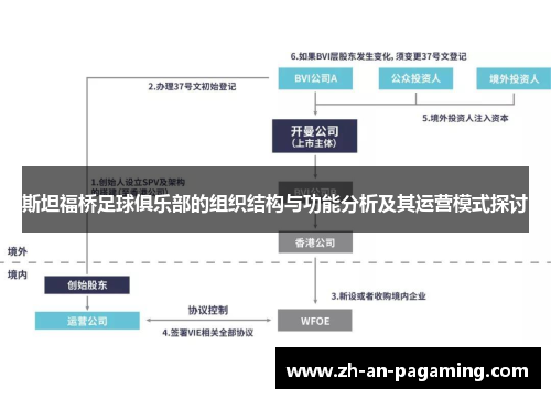 斯坦福桥足球俱乐部的组织结构与功能分析及其运营模式探讨