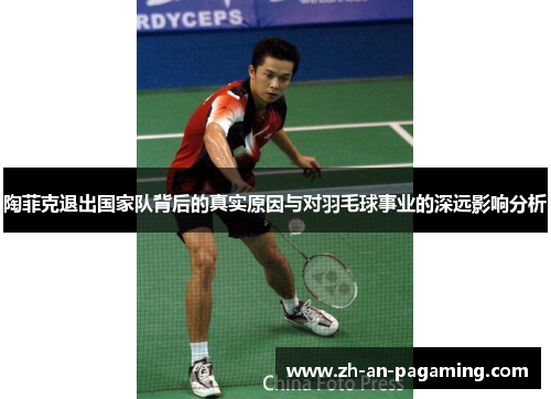陶菲克退出国家队背后的真实原因与对羽毛球事业的深远影响分析