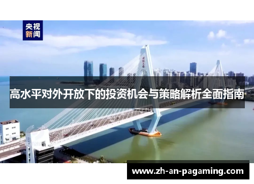 高水平对外开放下的投资机会与策略解析全面指南